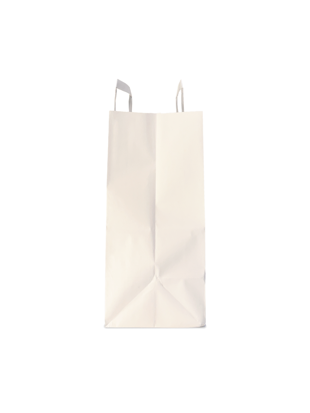 Custom Printed Paper Bags with Handles – 250 Units