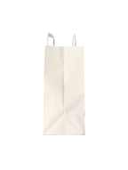 Custom Printed Paper Bags with Handles – 250 Units