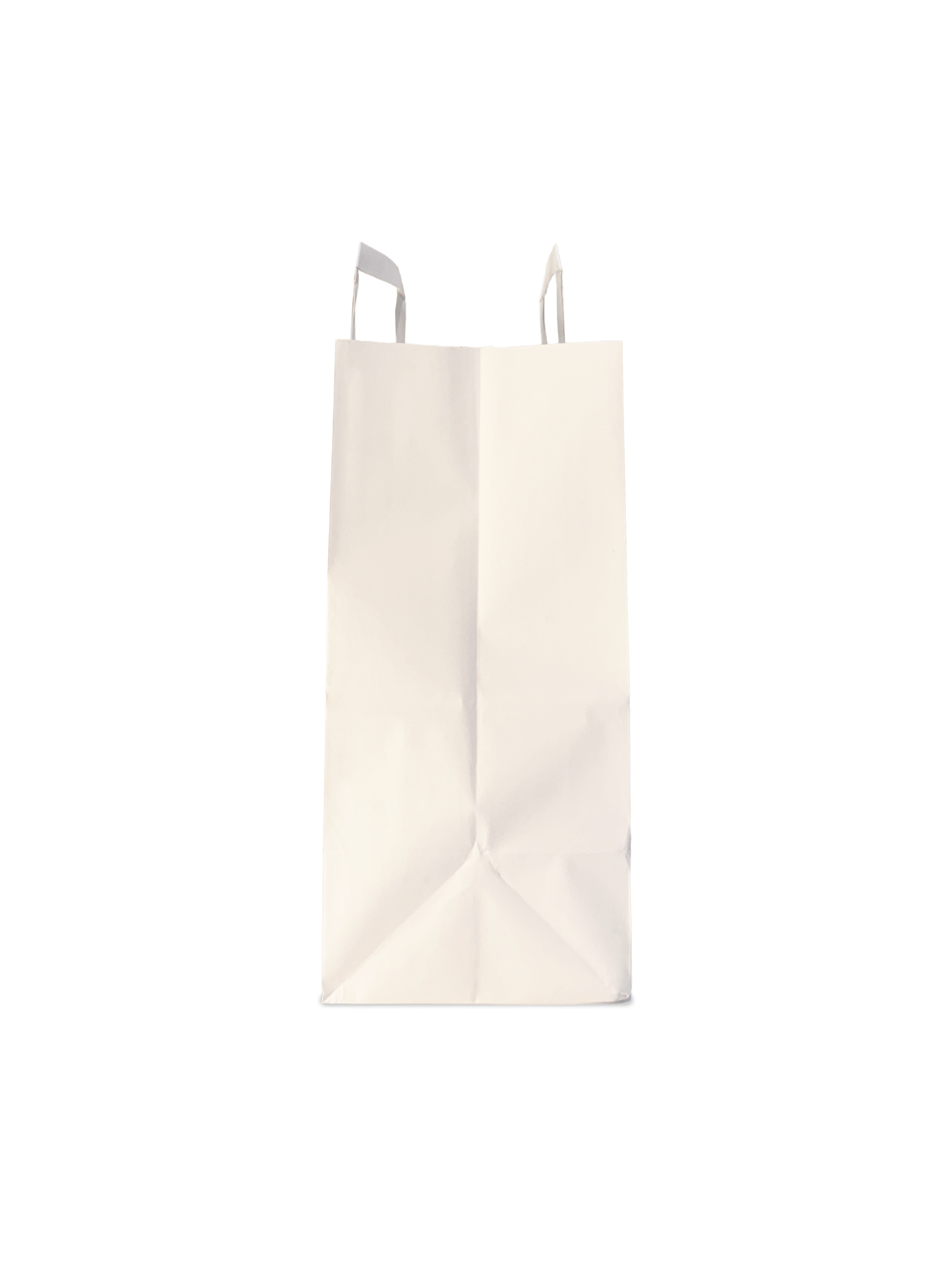 Custom Printed Paper Bags with Handles – 250 Units