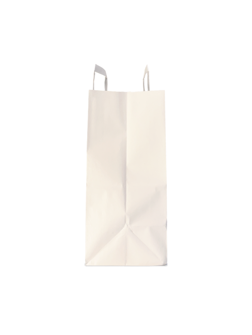 Custom Printed Paper Bags with Handles – 250 Units